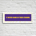 IT NEVER RAINS IN TIGER STADIUM