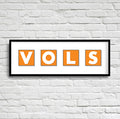 VOLS